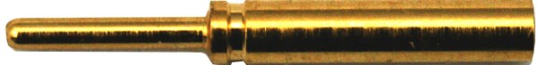 Goldstecker 0,8 mm (1Stk)